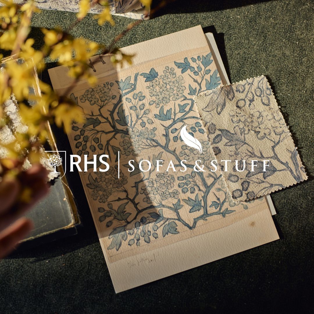 Sofas & Stuff tweet media