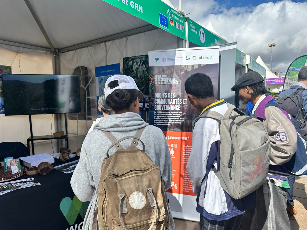 WCS_Mada's tweet photo. At WCS Madagascar, through the #SWMProgramme, we put youth employability at the heart of sustainable conservation. One week ago at #TeamEurope Projects Day 🇲🇬🇪🇺 — inspiring to see young people passionate about conservation.
#YouthEmployability #Conservation #SWMProgramme https://t.co/N0QF9E1Gss