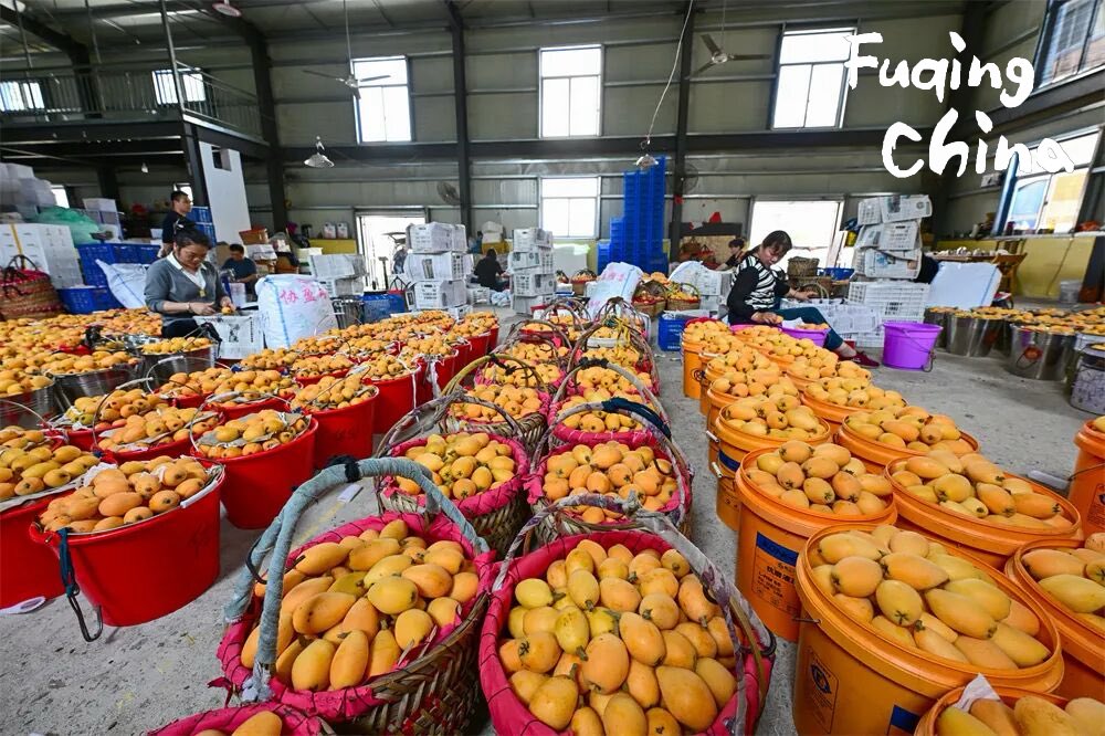 Fuqing China tweet media