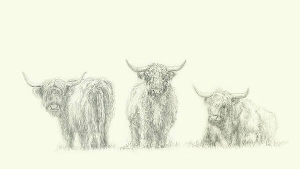 KarenKaspar1's tweet photo. Diese drei Schönheiten wünschen dir einen wundervollen Tag!

Schottische Hochlandrinder Panorama - Bleistiftzeichung
--> https://t.co/E9cv9Okmxm

#art #drawing #bleistift #zeichnung #animals #cow https://t.co/tck5JbQiWW
