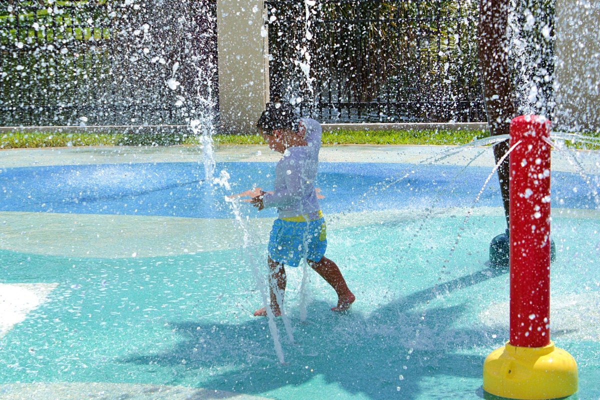 Greater Boca Raton Beach and Park District tweet media