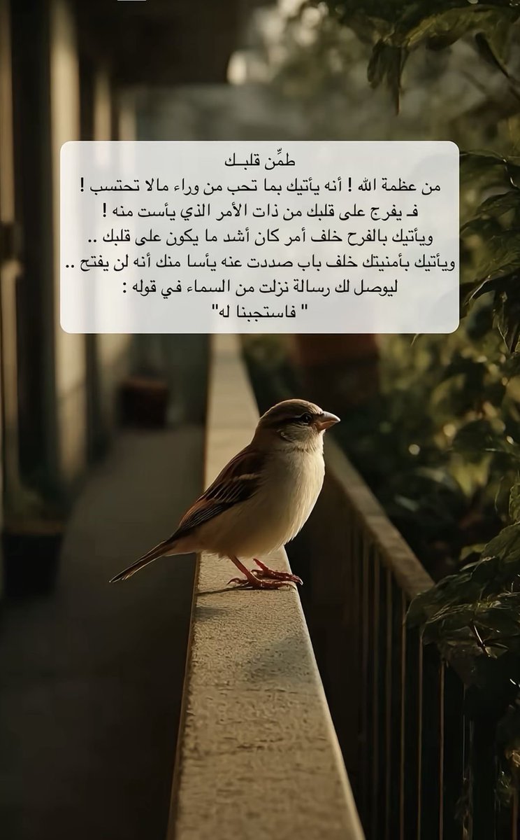 MaBakser's tweet photo. ✨#مساء_الخـير 

طمِّن قلبكــ ..🤍
من عظمة اللّٰه ! أنه يأتيك بما تحب من وراء مالا تحتسب !

ليوصل لك رسالة نزلت من السماء في قوله :
" فاستجبنا له"
🤲🏻
#مساء_الخير_والسعادة https://t.co/Lj2zFNY3hx