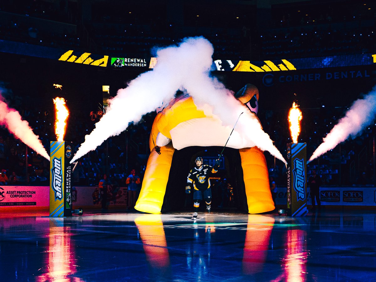 Toledo Walleye tweet media