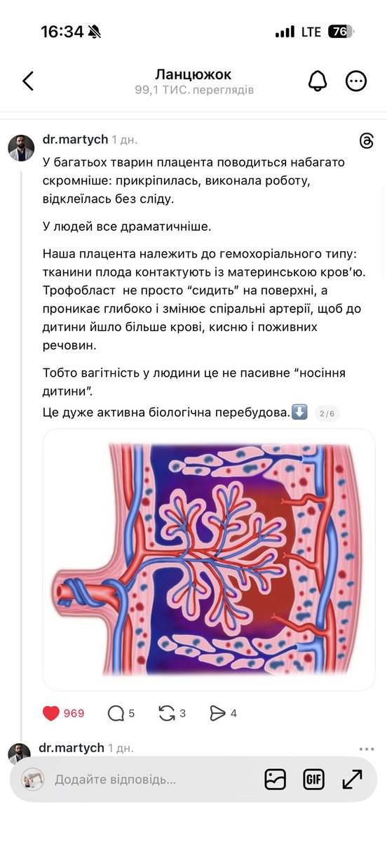 прихуЇвша овчина tweet media