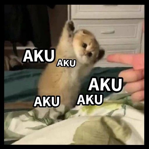 arixaa tweet media