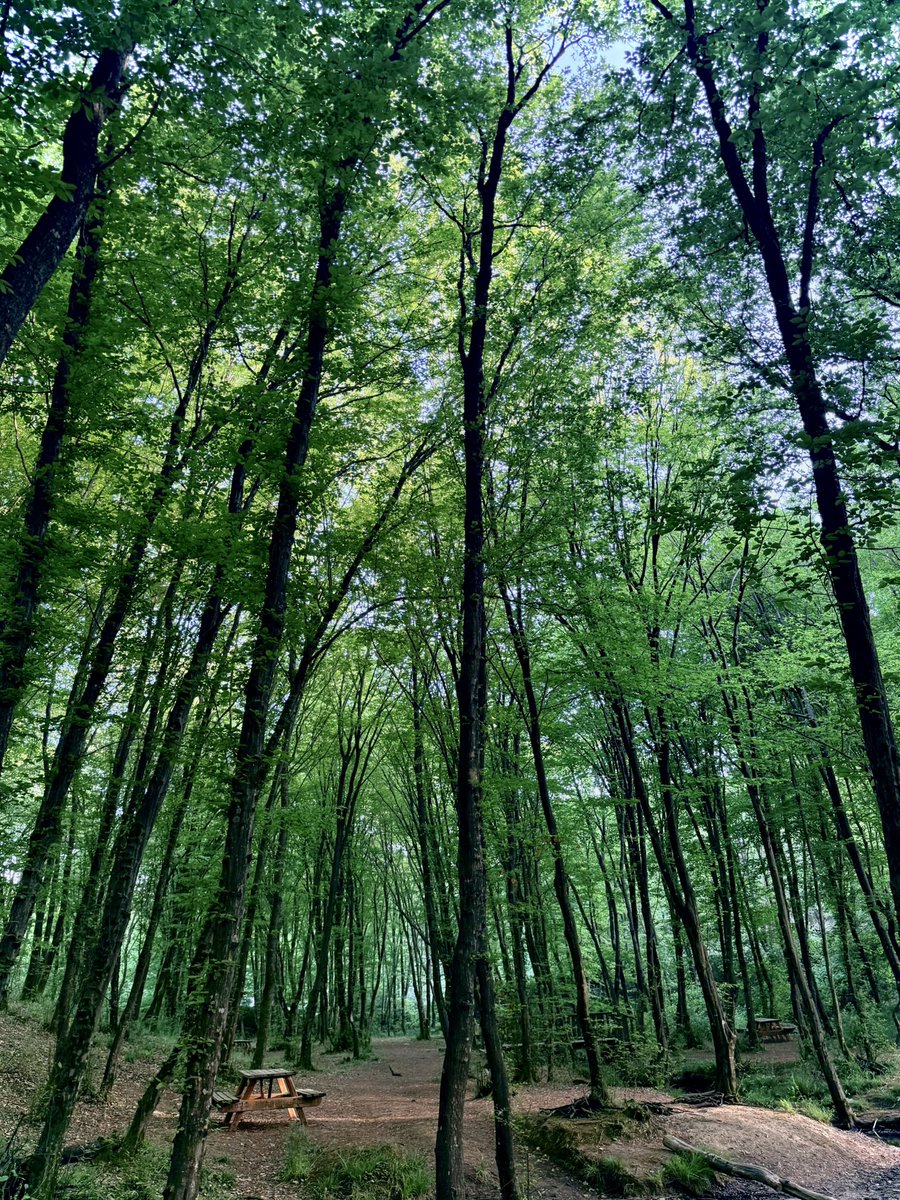 humihb's tweet photo. 🌱💦 https://t.co/LjTNxbnl8b