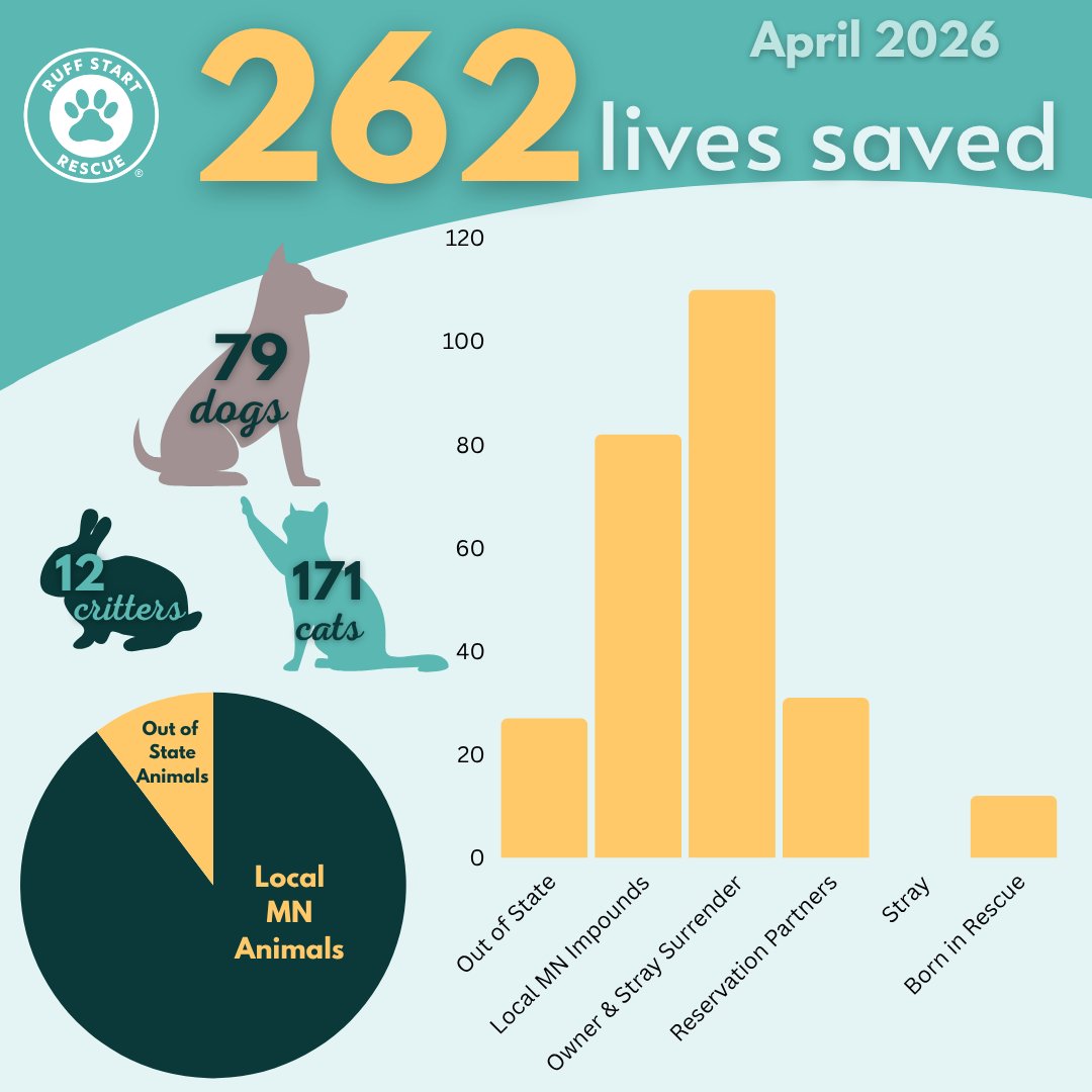 Ruff Start Rescue tweet media