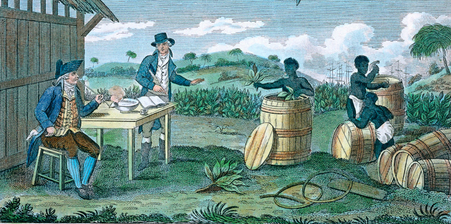 was tobacco in the old world TH Breen, in Tobacco Culture, describing how the unique demands of tobacco  cultivation forged a unique mindset on the great planters of it that led to  their boldness in resisting tyranny: 