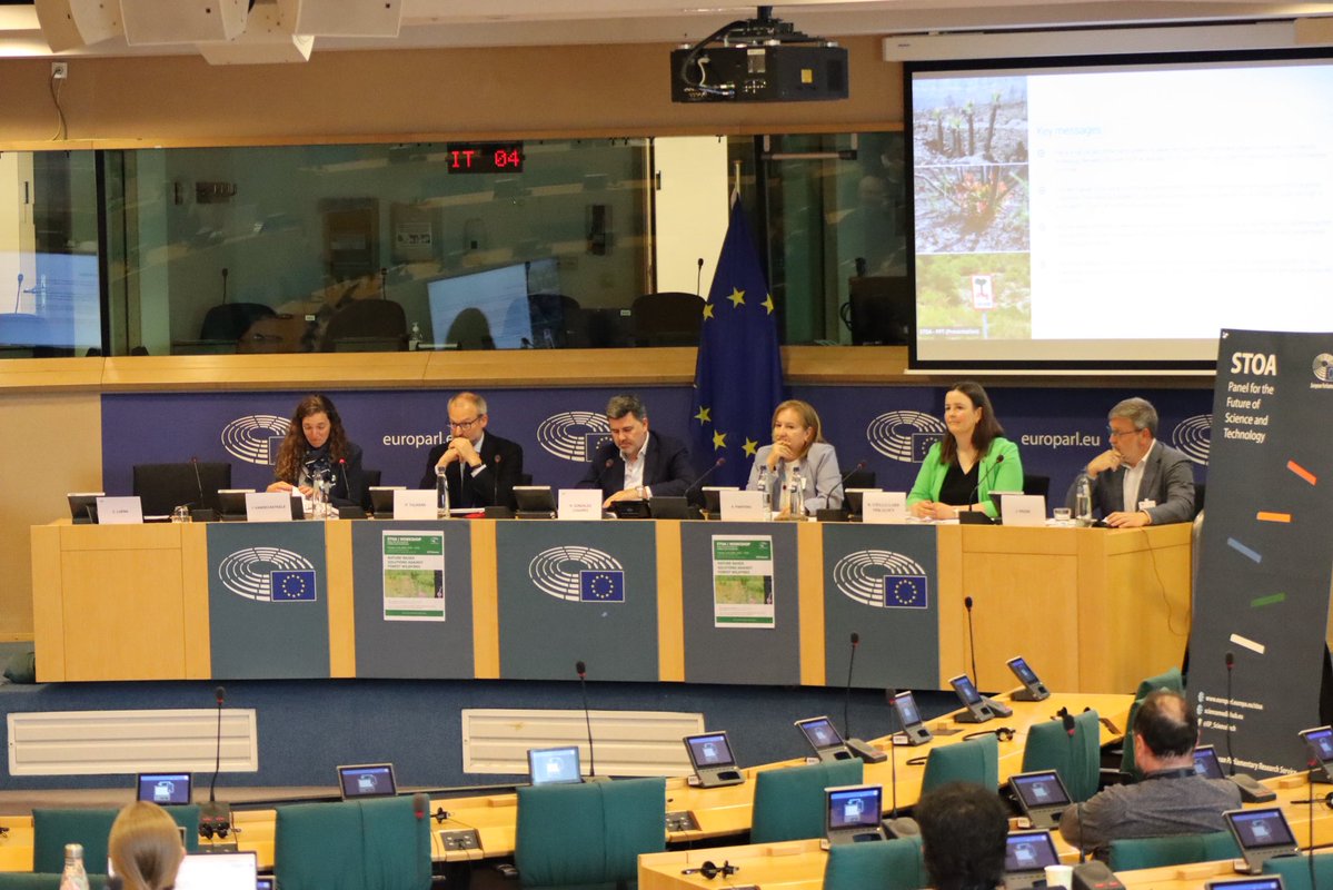 Socialistas Europarl tweet media
