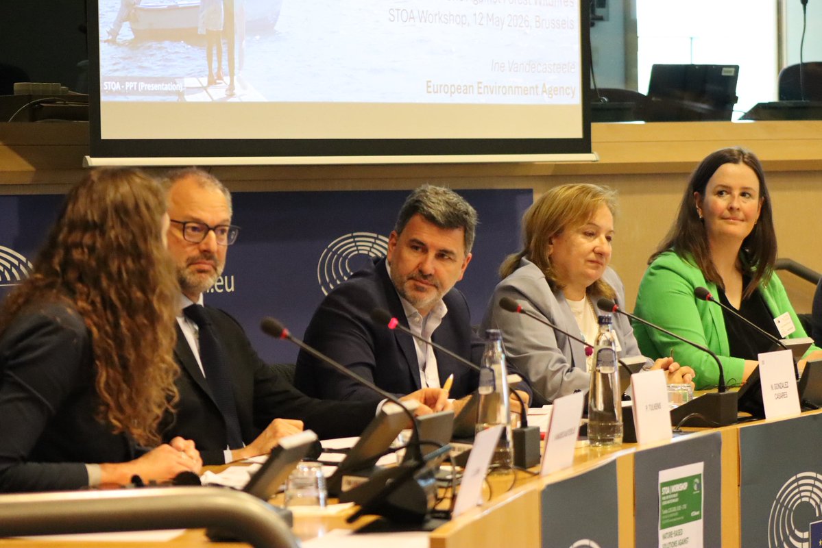 Socialistas Europarl tweet media
