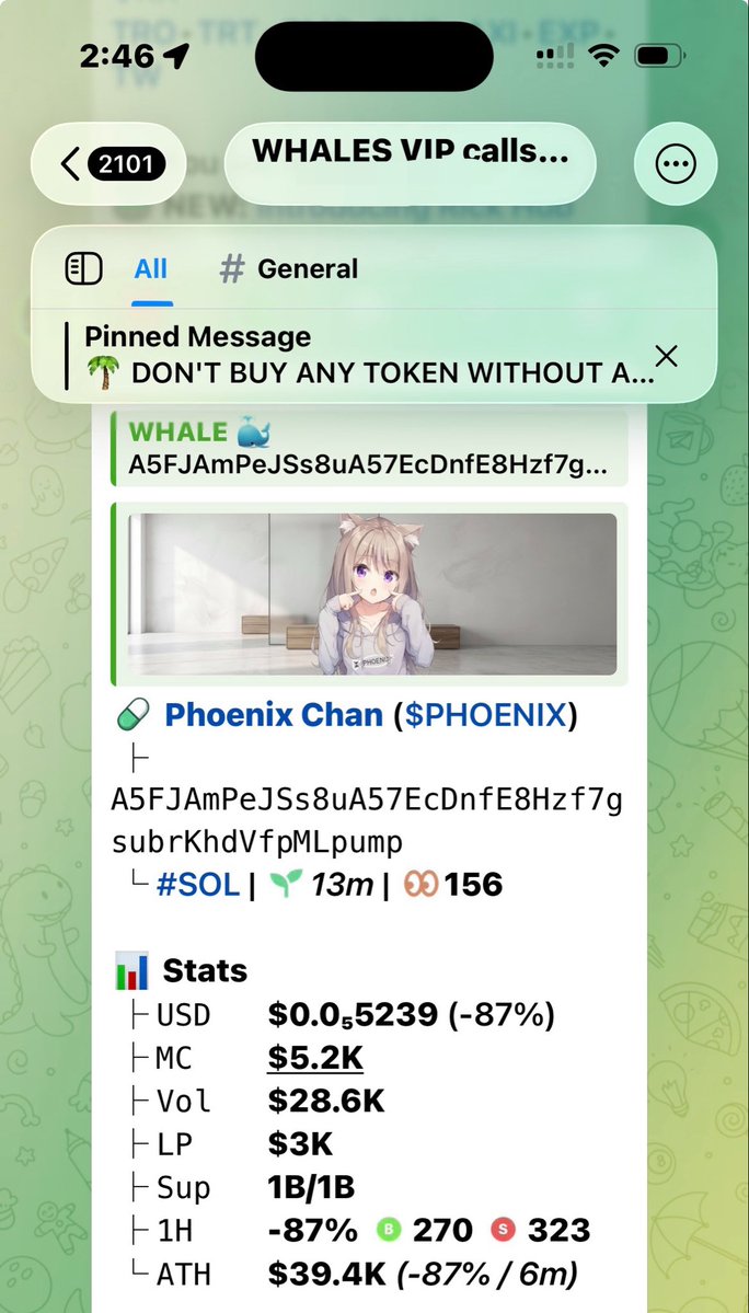 WHALES tweet media