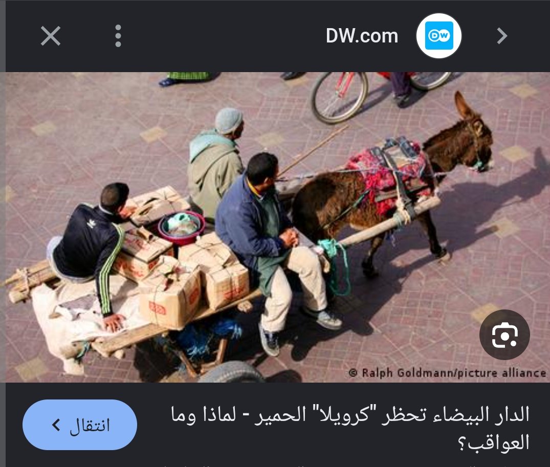 عزيز _🇩🇿 AZIZ tweet media