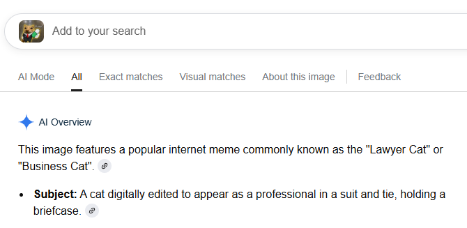 Where is business cat from? 

It's literally the Lawyer cat meme. 

Are being fr here? 

Proof: 

google.com/search?vsrid=C…