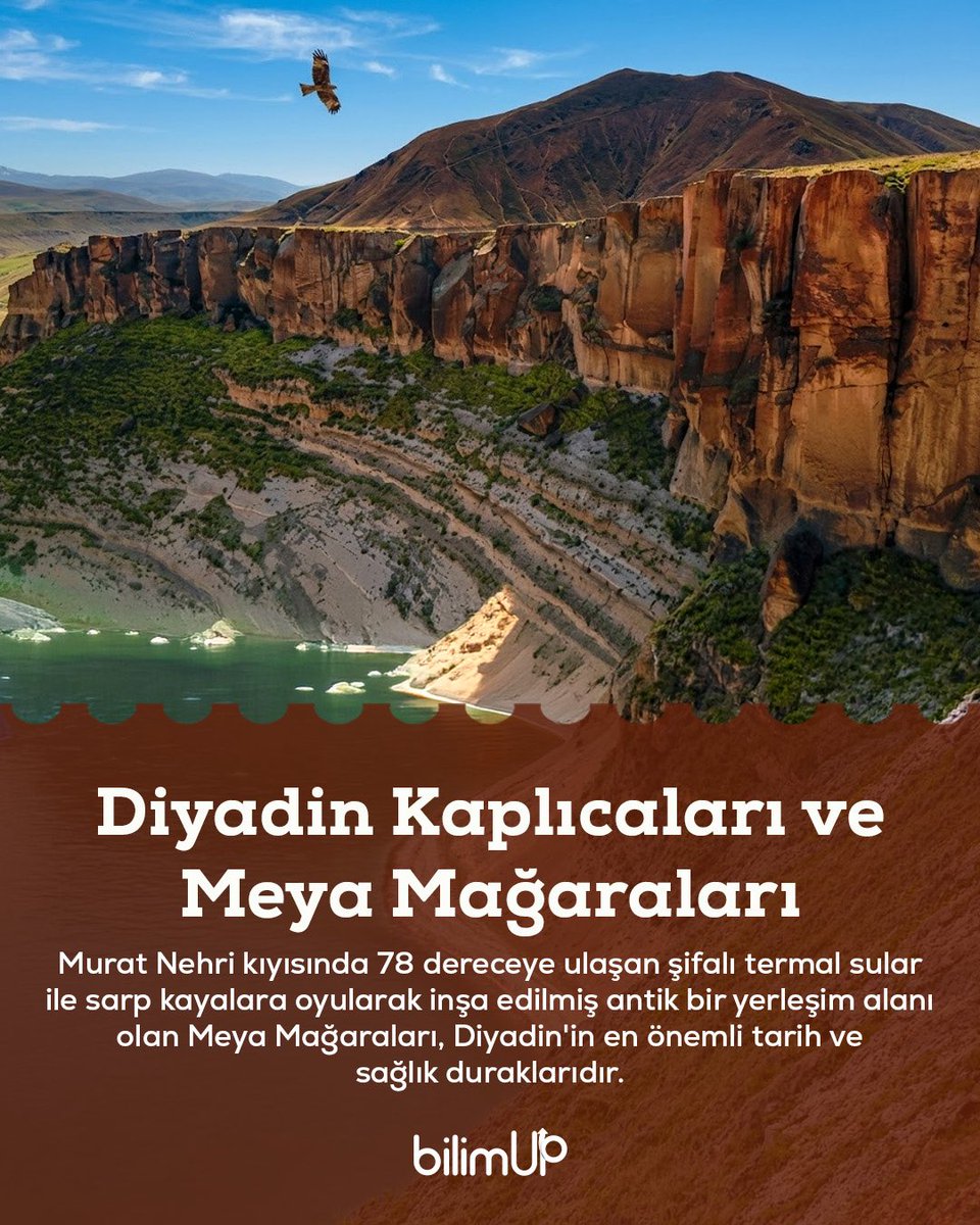 bilimUP tweet media