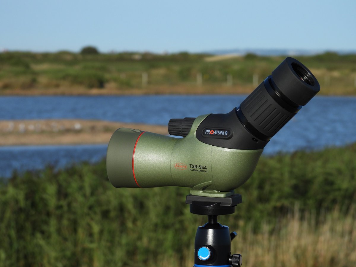THE BIRDER'S STORE tweet media