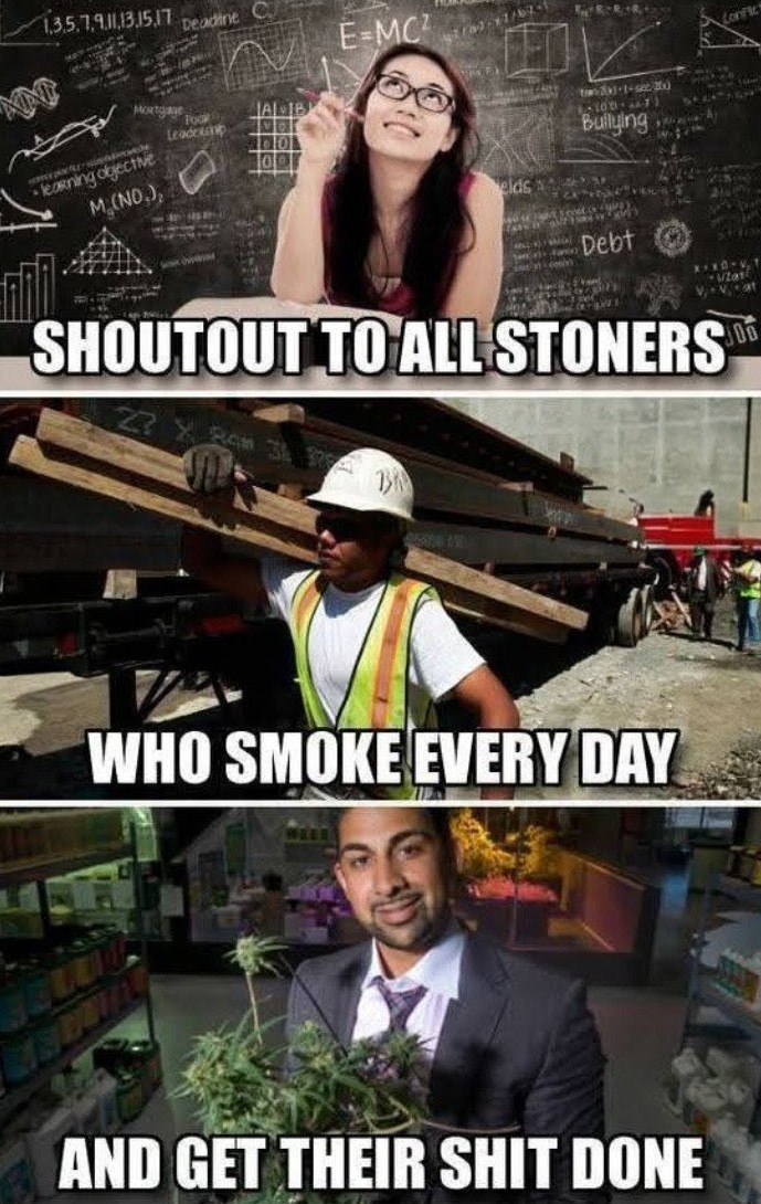 Artek Swaróg🌿💨🇵🇱 tweet media