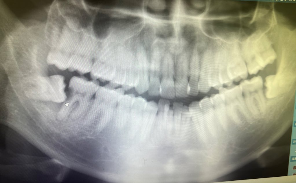 themonsteryoumade tweet media