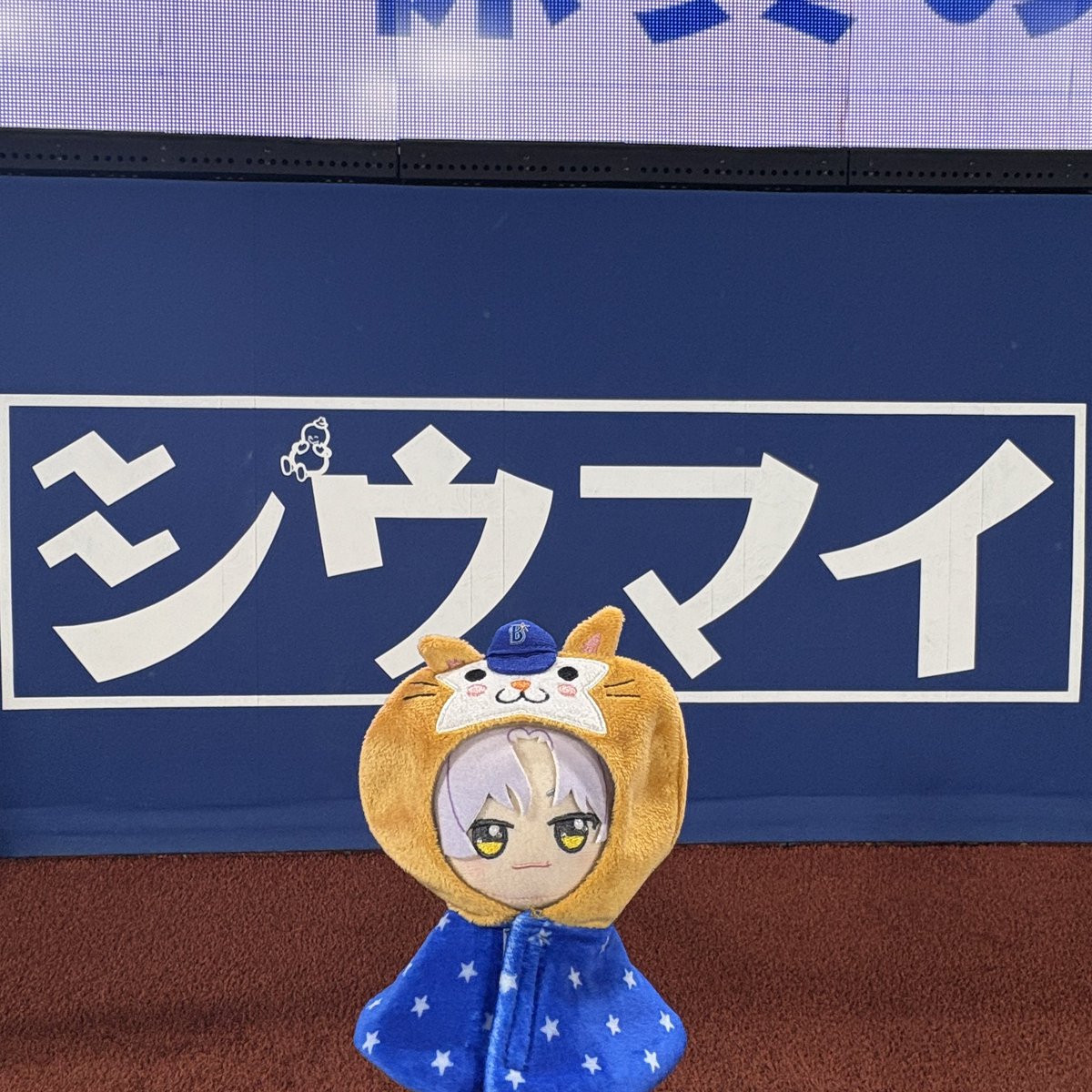 しほ tweet media
