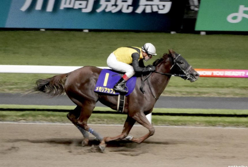 競馬予想家　本家　大黒天 tweet media