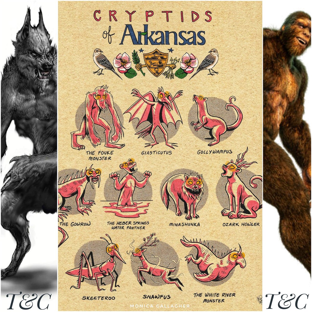 TeaandCryptids tweet media
