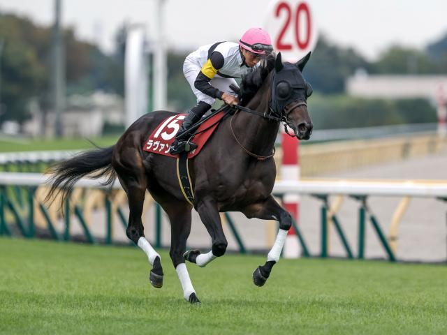 長いこと競馬をやってると馬券の相性が悪い馬って必ず 出てくるよね