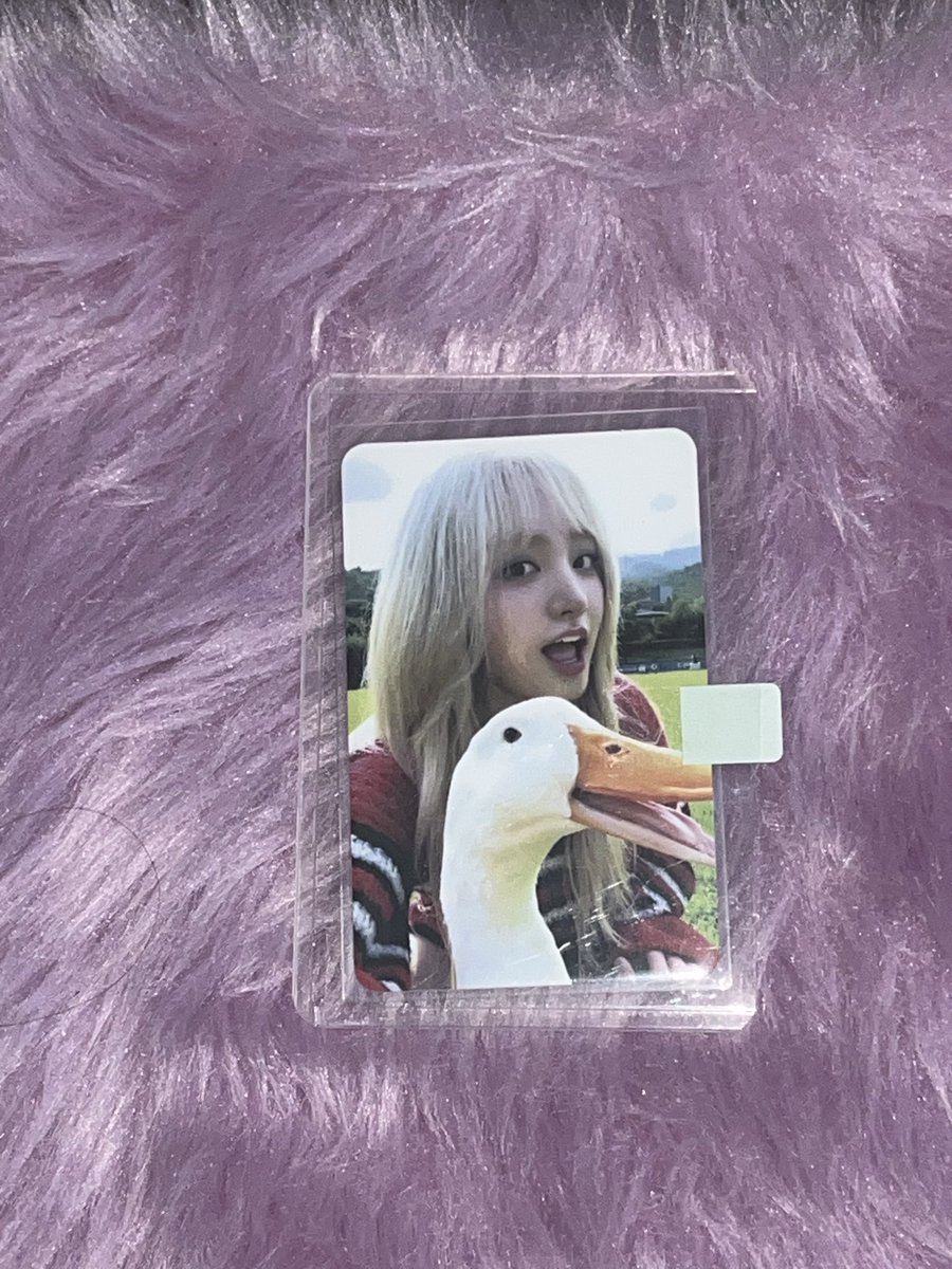 lizzie 𝜗᭪ tweet media