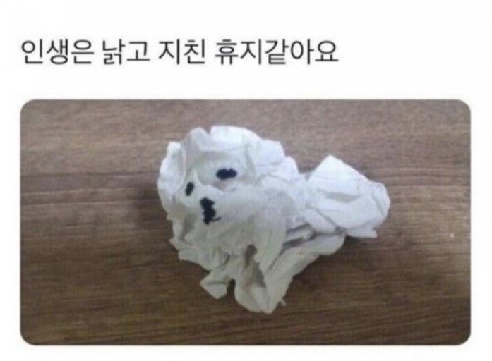 블루 tweet media