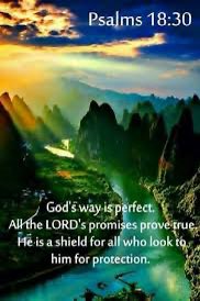 Praying for God to Shine His Light tweet media