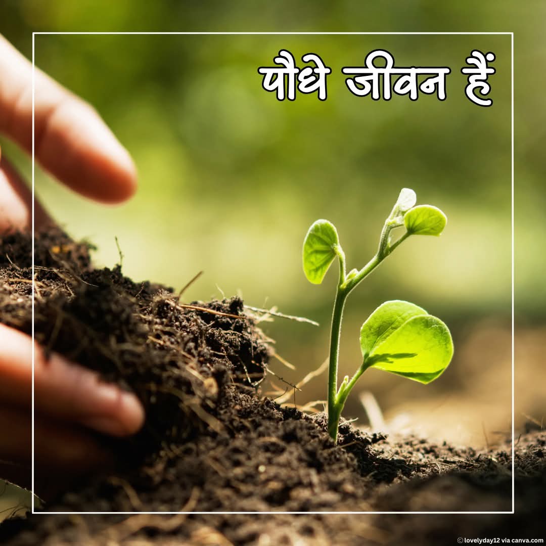 Dr Prabhakar Kumar ( डॉ प्रभाकर कुमार ) tweet media