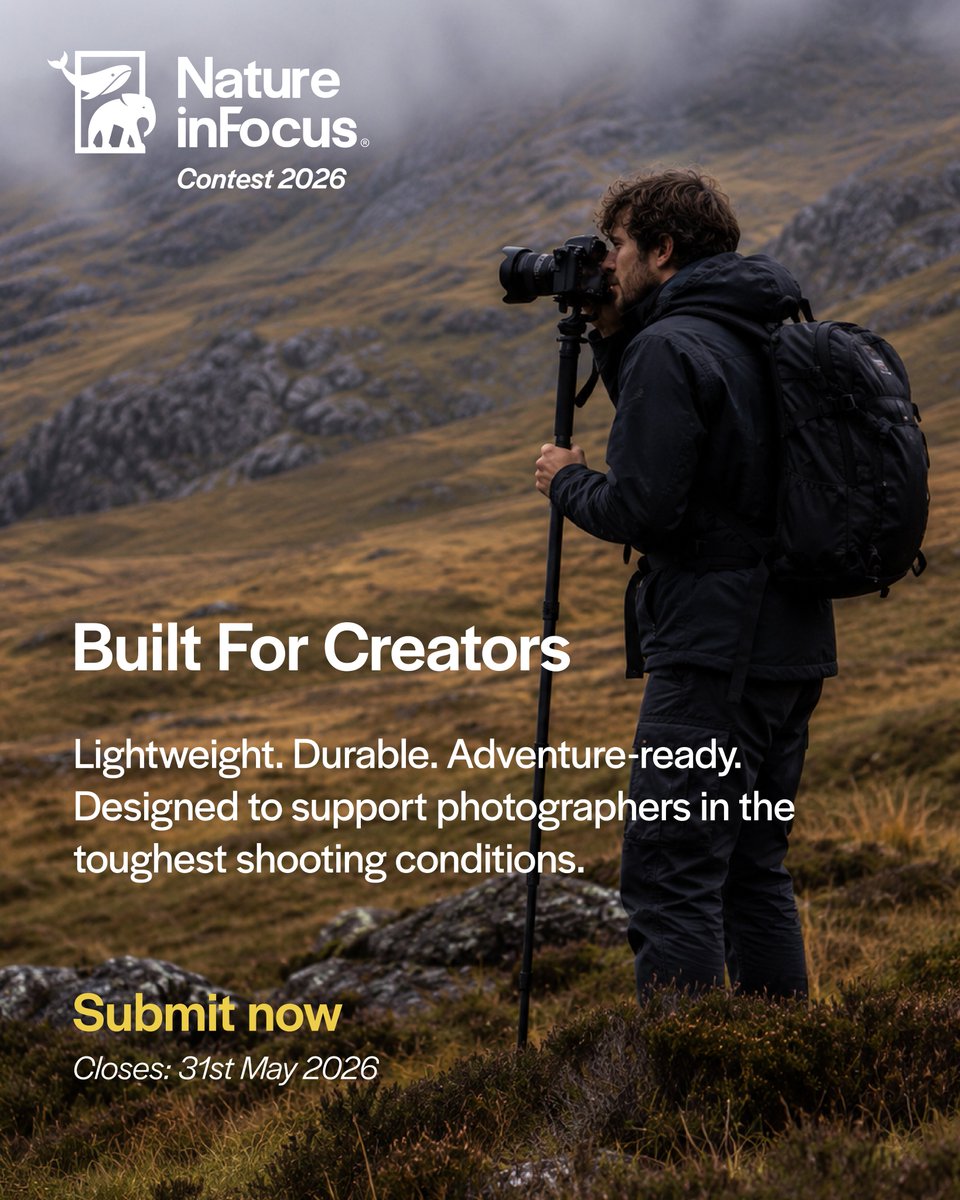 Nature inFocus tweet media