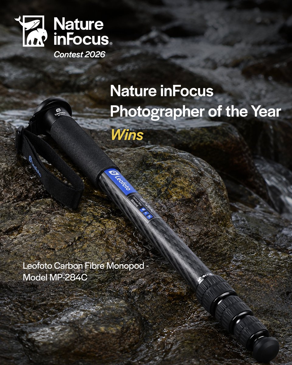 Nature inFocus tweet media