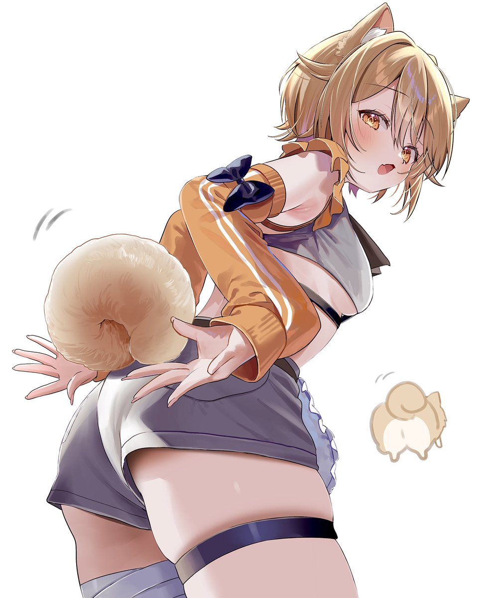 ポメ太郎 tweet media
