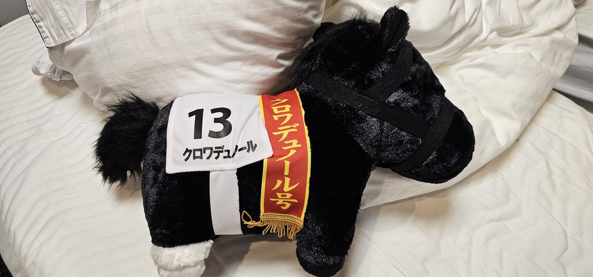 Yoitsu Velvet 🐴🎀✨️ tweet media
