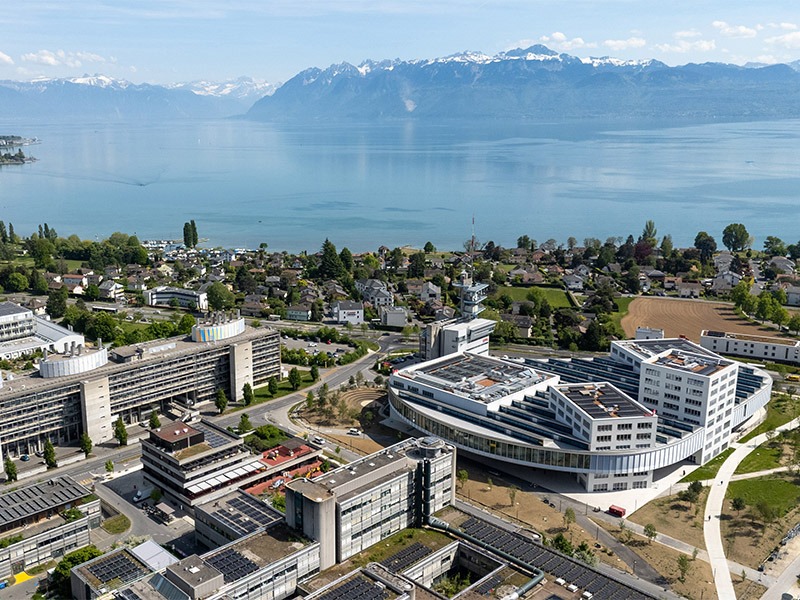 Université de Lausanne tweet media