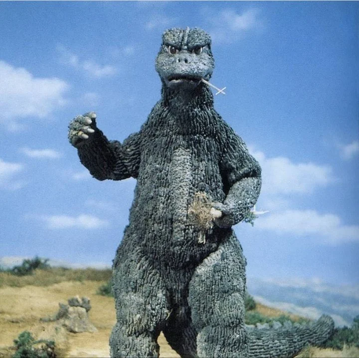 Kaiju (Firefly's Ye Shunguang's husband) tweet media