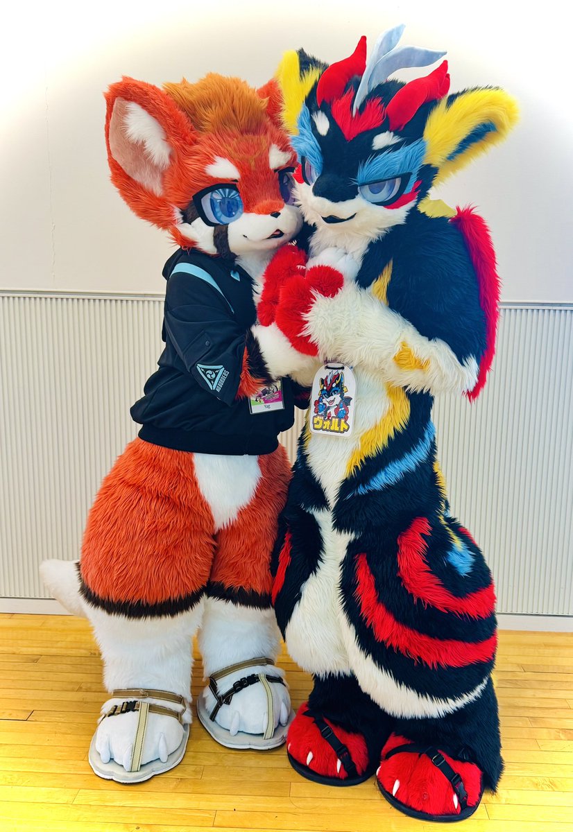 うーろん🦊 𝙉𝙚𝙭𝙩 ︎ ⇝ 未定 tweet media