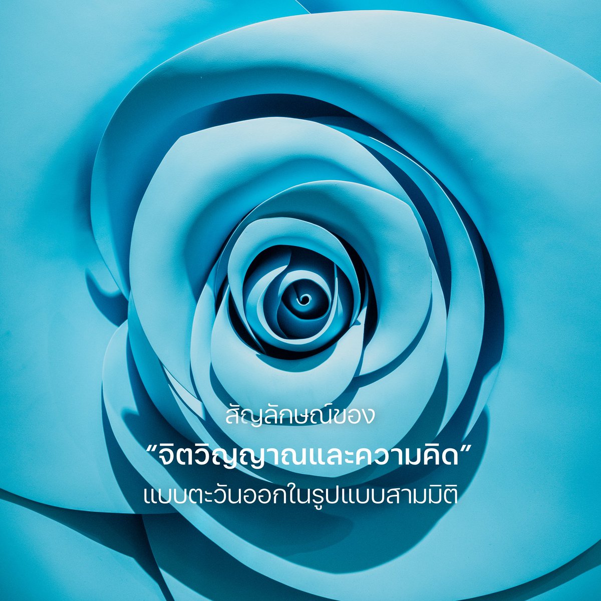 วาฬมีปีก | Flyingwhale tweet media