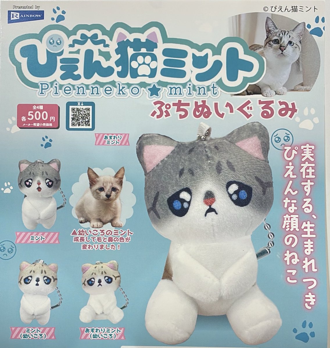 🎀5月12日完売のお知らせ🎀 ▶︎ぴえん猫ミント プチぬいぐるみ 皆様の