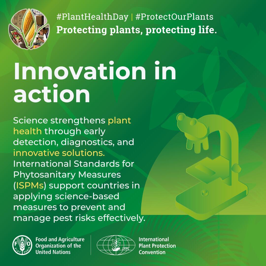FAO Innovation tweet media