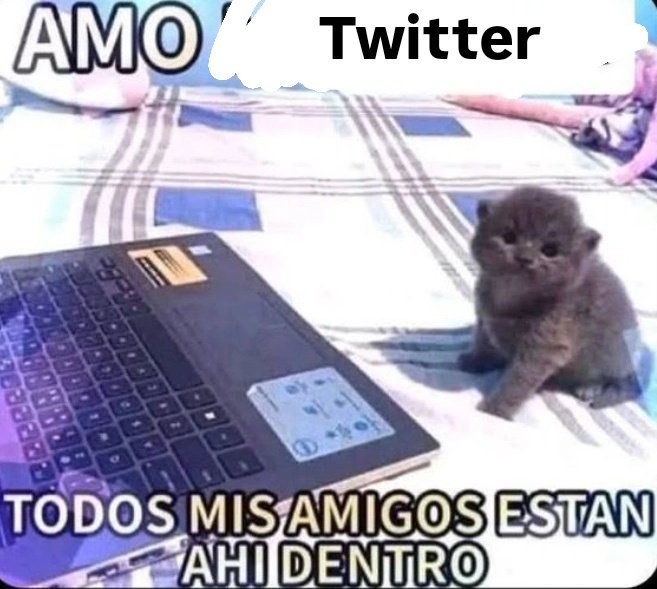 Sr.lonlilo tweet media