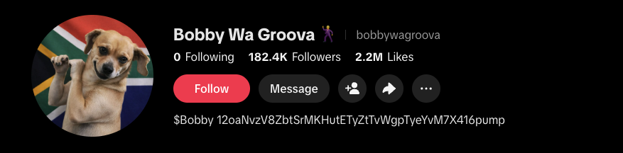 bobby (@bobbydotfunn) / Posts / X