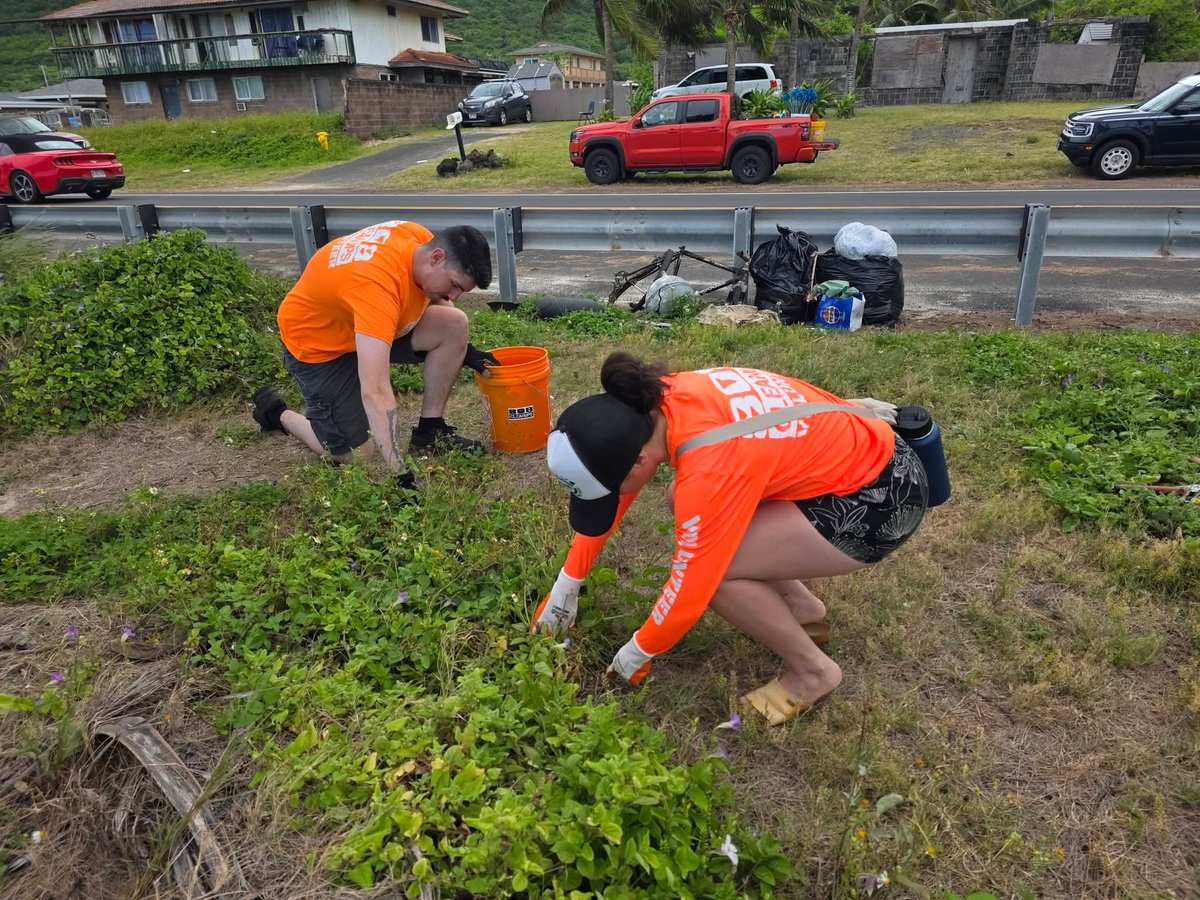 808cleanups tweet media