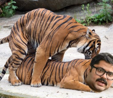 Spandan Ghosh tweet media