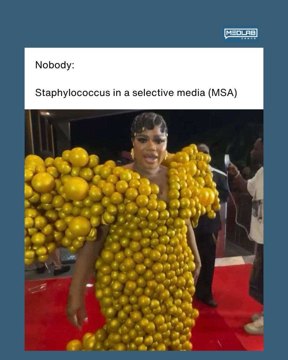 MedLabConvo tweet media