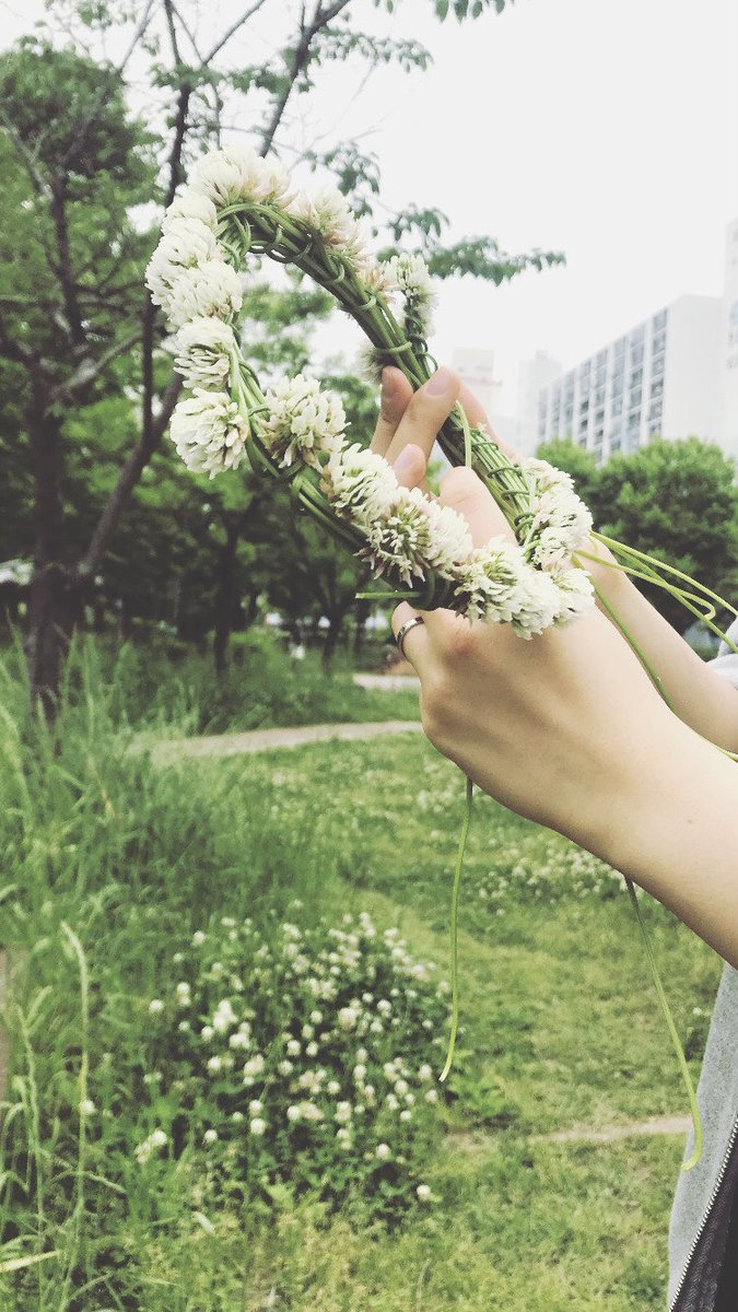 제독 tweet media