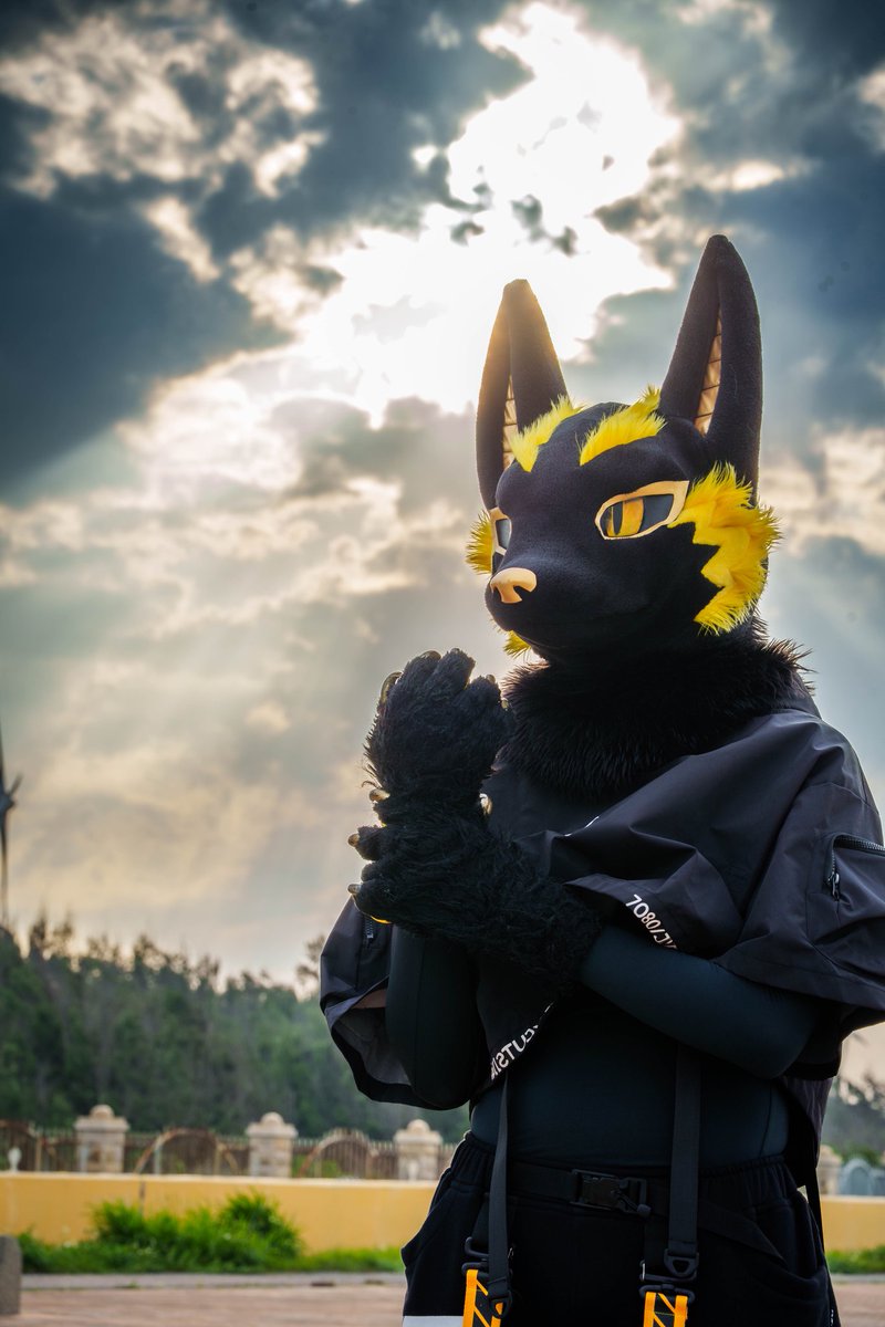 阿努比斯Anubis 🐺 furrydance ~♪ tweet media