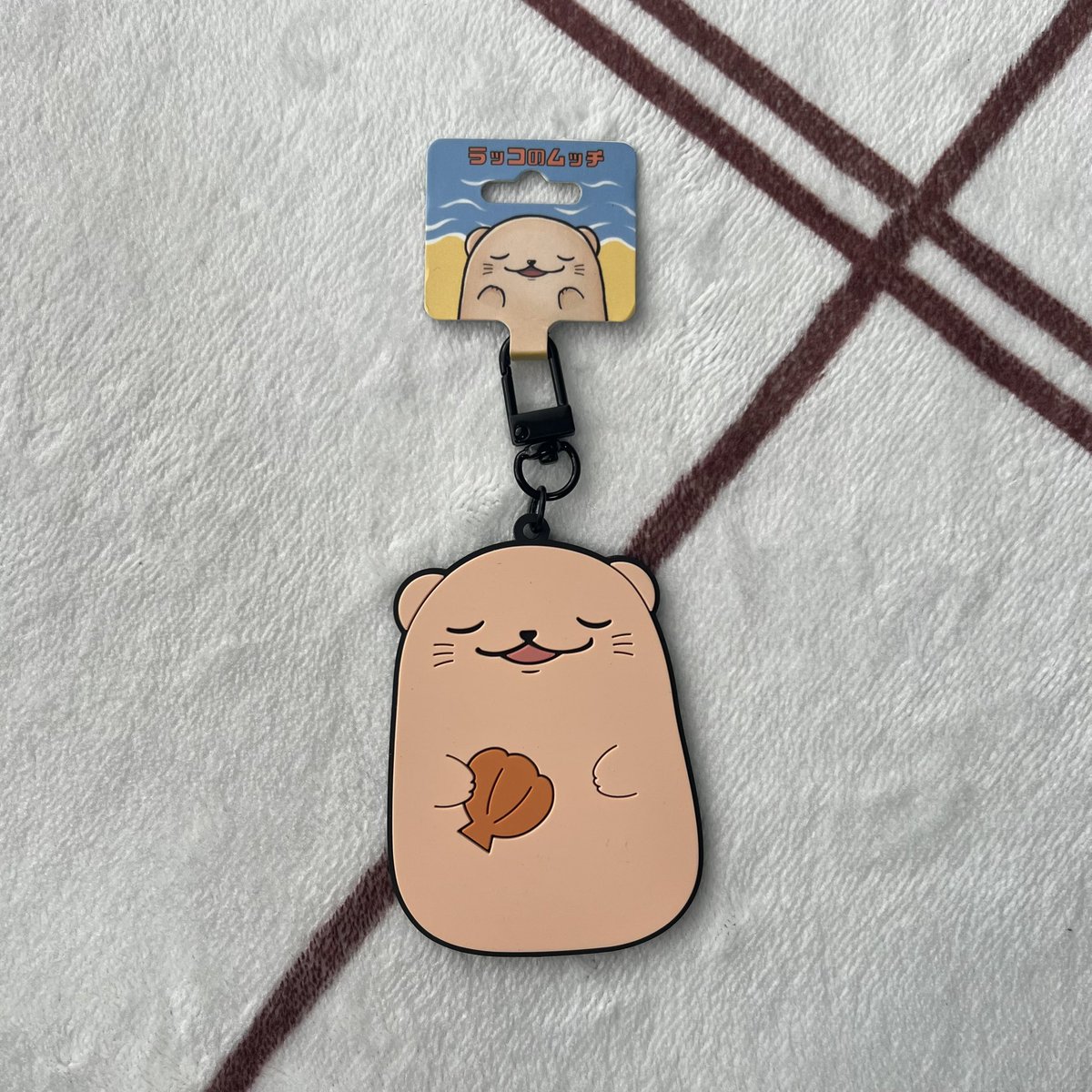 ラッコのムッチ🦦 tweet media