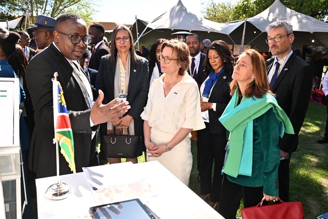 EU in Namibia tweet media