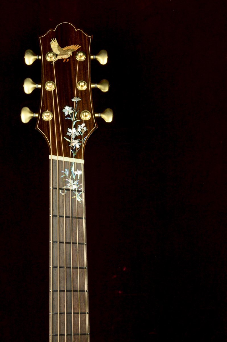 Keystone Stringed Instruments tweet media