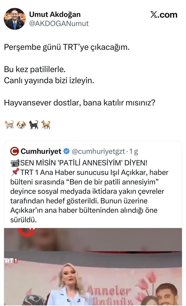 Av. Meltem Zorba tweet media